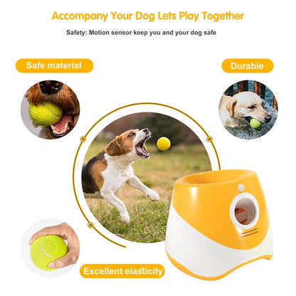 Lanzador Automático de Pelotas para Perros