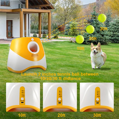Lanzador Automático de Pelotas para Perros