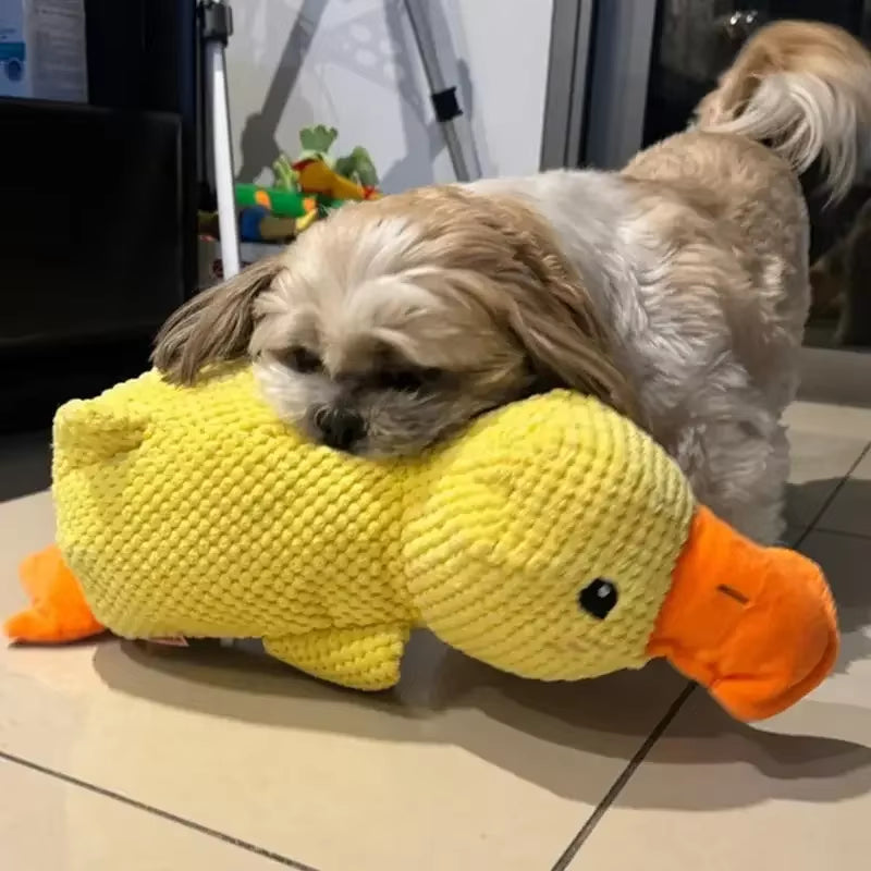 Juguete de Pato para Mascotas